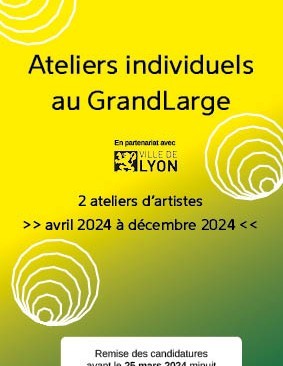 site_internet_appel_a_candidature_ville_de_lyon_2024.jpg